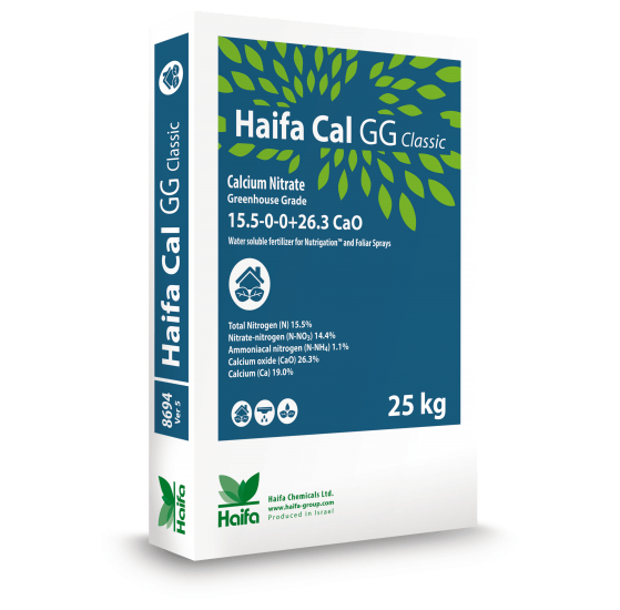 Haifa Cal GG