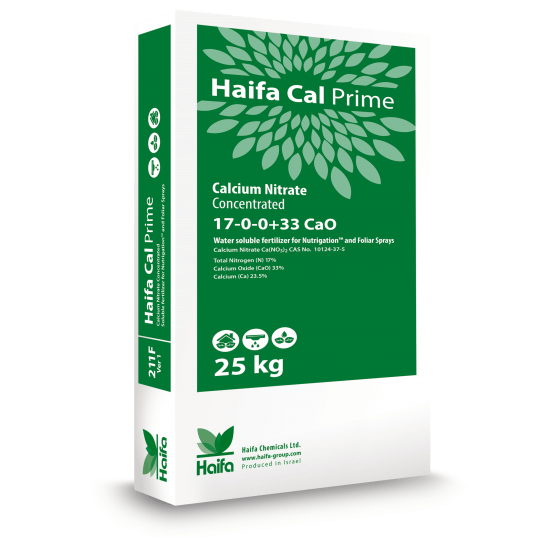 Haifa Cal Prime