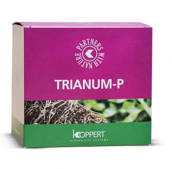 trianum