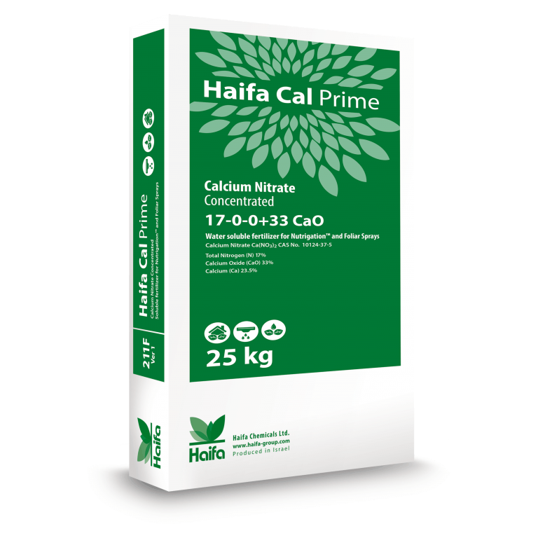 Haifa Cal Prime