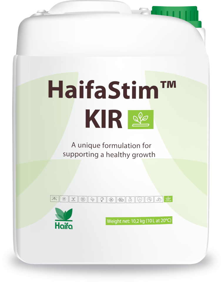 HaifaStim KIR